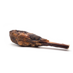 Pets Best - Tyrepenis knuckles