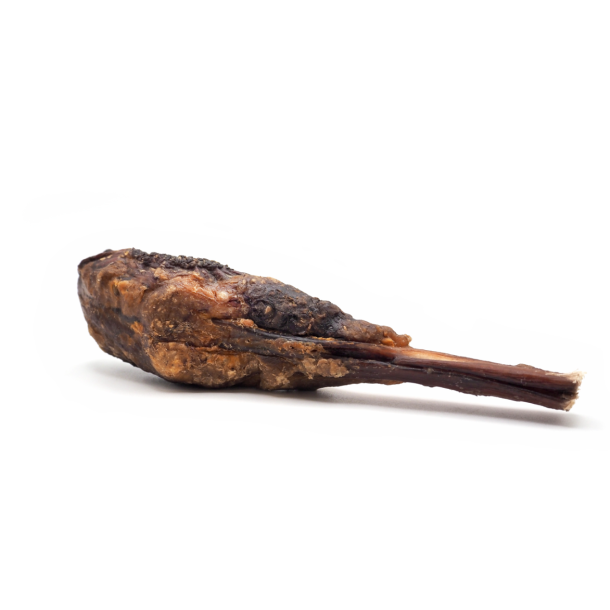 Pets Best - Tyrepenis knuckles