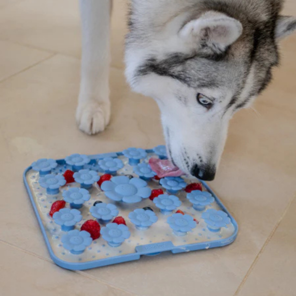 Inooko - Daisy aktiveringsm�tte, Sand