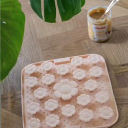 Inooko - Daisy aktiveringsm�tte, Sand