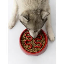 Inooko Slowfeeder�fodersk�l - Sand