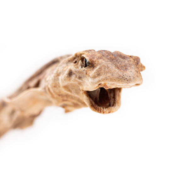 Snack'it Hel Haj - 1 stk.