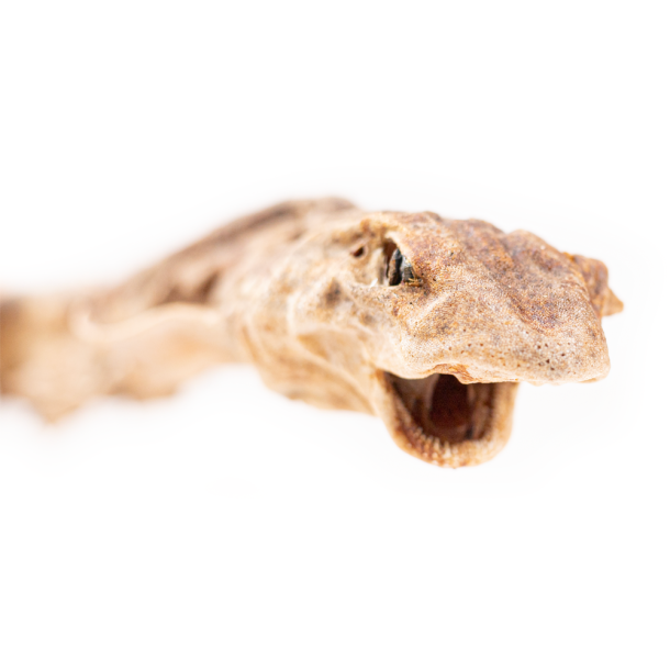 Snack'it Hel Haj - 1 stk.