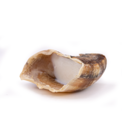 Kalveklov Med Frefedt