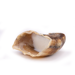 Kalveklov Med Frefedt