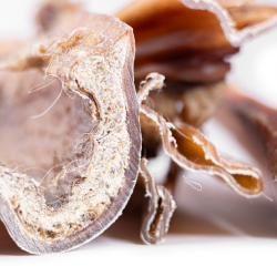 Snack'it - Ekstra Hrd &amp; Tyk Pandebrask 30cm