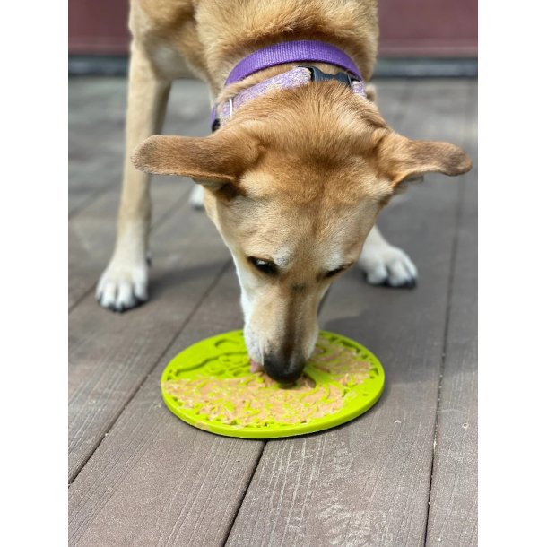 Sodapup Lickmat Tree of Life with Suction