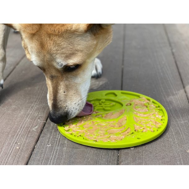 Sodapup Lickmat Tree of Life with Suction