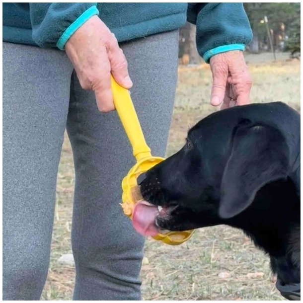 Sodapup Beehive Lick Stick Hand-Held Interactive Enrichment Toy - Gul