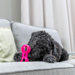 Trixie - Soft &amp; Strong tyggeleget�j, h�ndv�gt