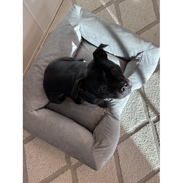 Tacoma Ortho Hundeseng - Gr�