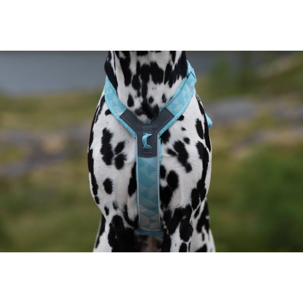 Non-Stop Dogwear Line Harness CLIP'N - ice blue