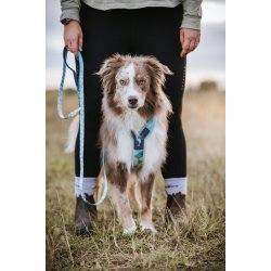 Non-Stop Dogwear Line Harness CLIP'N - ice blue