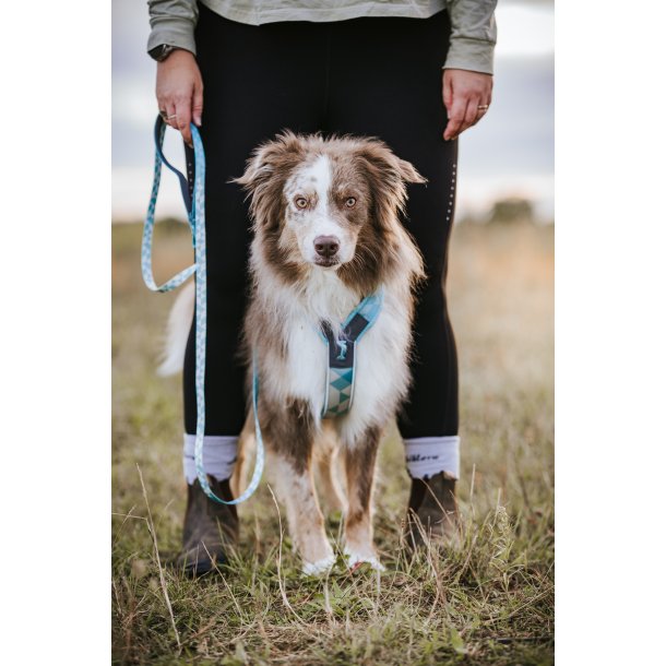 Non-Stop Dogwear Line Harness CLIP'N - ice blue