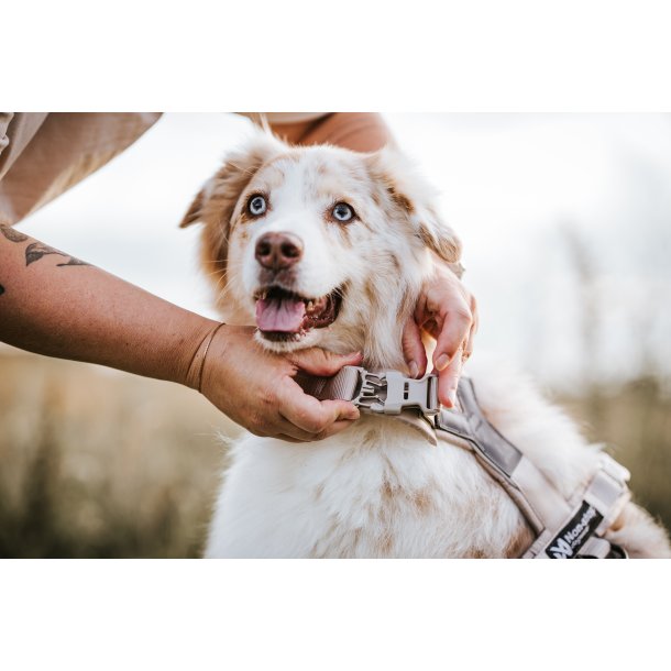 Non-Stop Dogwear Line Harness CLIP'N - Sand