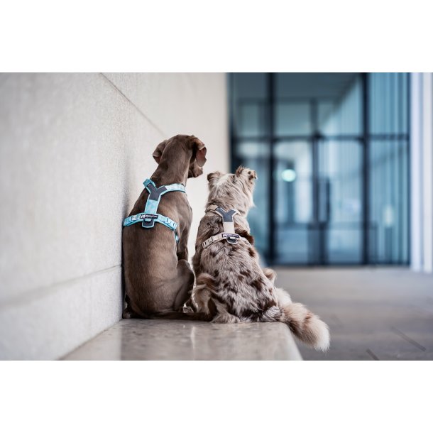 Non-Stop Dogwear Line Harness CLIP'N - ice blue