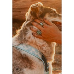 Non-Stop Dogwear Line Harness CLIP'N - ice blue