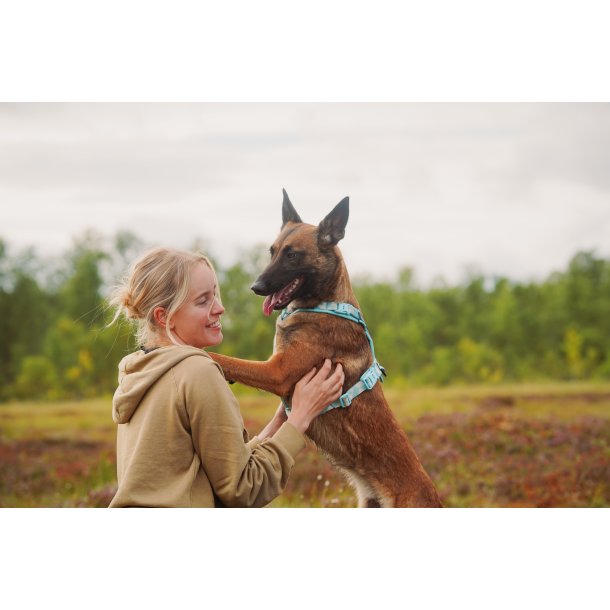 Non-Stop Dogwear Line Harness CLIP'N - ice blue
