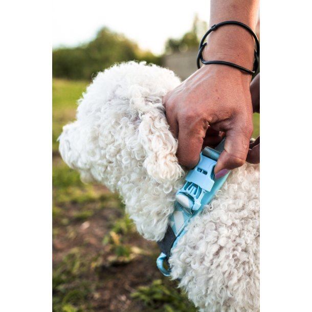 Non-Stop Dogwear Line Harness CLIP'N - ice blue