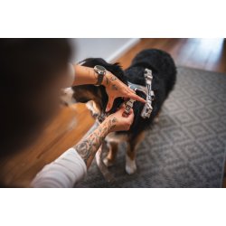 Non-Stop Dogwear Line Harness CLIP'N - Sand