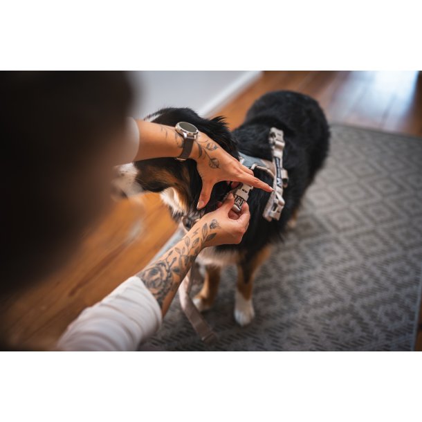 Non-Stop Dogwear Line Harness CLIP'N - Sand