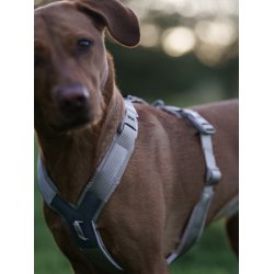 Non-Stop Dogwear Line Harness CLIP'N - Sand