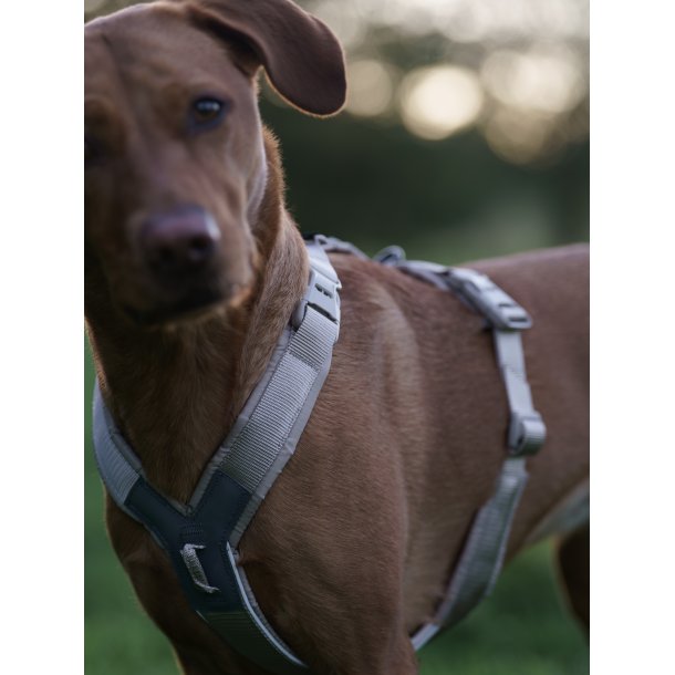 Non-Stop Dogwear Line Harness CLIP'N - Sand