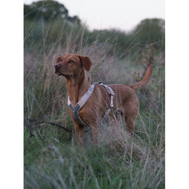 Non-Stop Dogwear Line Harness CLIP'N - Sand