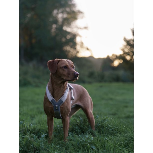 Non-Stop Dogwear Line Harness CLIP'N - Sand