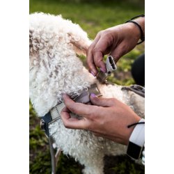 Non-Stop Dogwear Line Harness CLIP'N - Sand