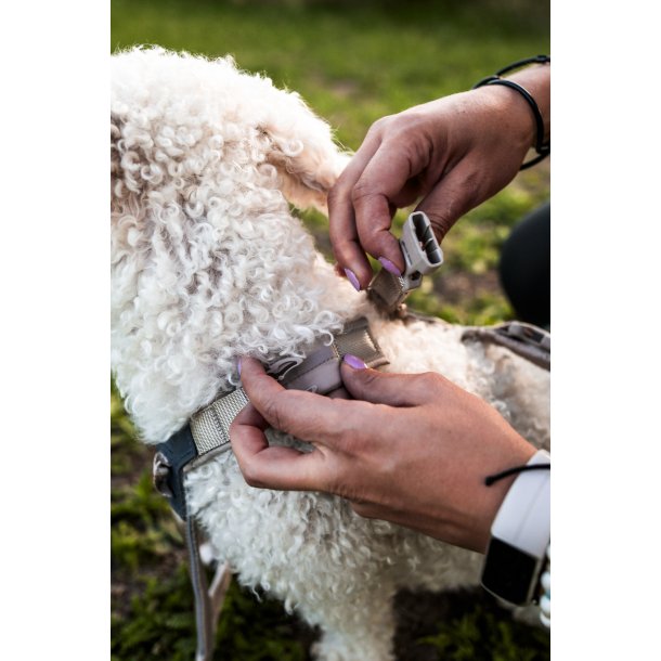 Non-Stop Dogwear Line Harness CLIP'N - Sand