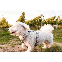 Non-Stop Dogwear Line Harness CLIP'N - Sand