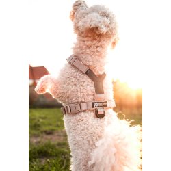 Non-Stop Dogwear Line Harness CLIP'N - Sand