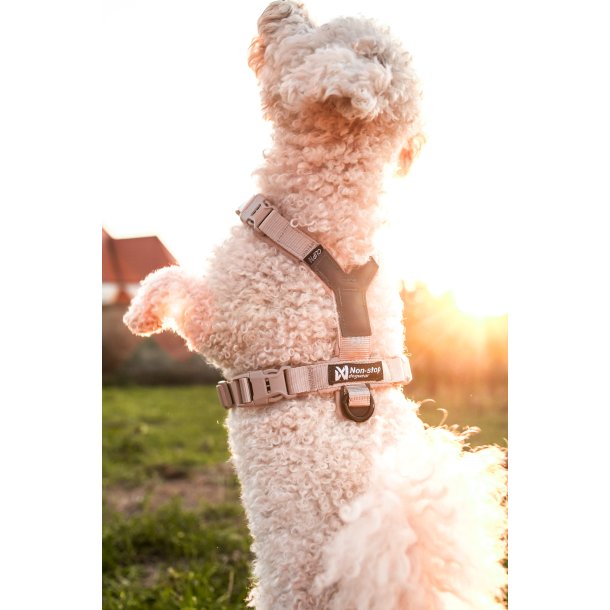 Non-Stop Dogwear Line Harness CLIP'N - Sand