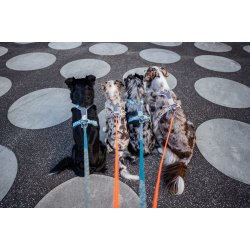 Non-Stop Dogwear Line Harness CLIP'N - Sand