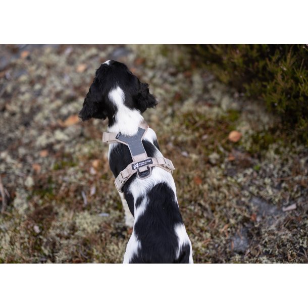 Non-Stop Dogwear Line Harness CLIP'N - Sand
