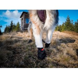 Non-Stop Dogwear - Solid Sock