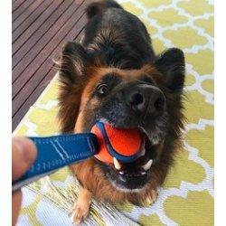 Chuckit Ultra Tug - Medium