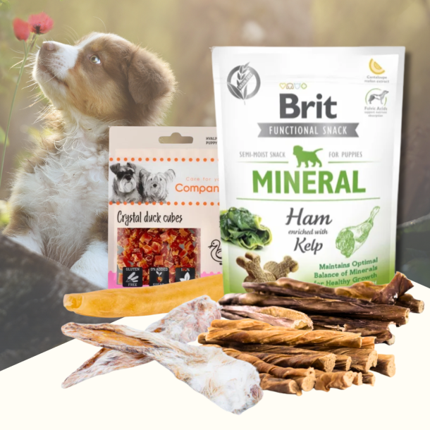 Hvalpe Snack Pakke  