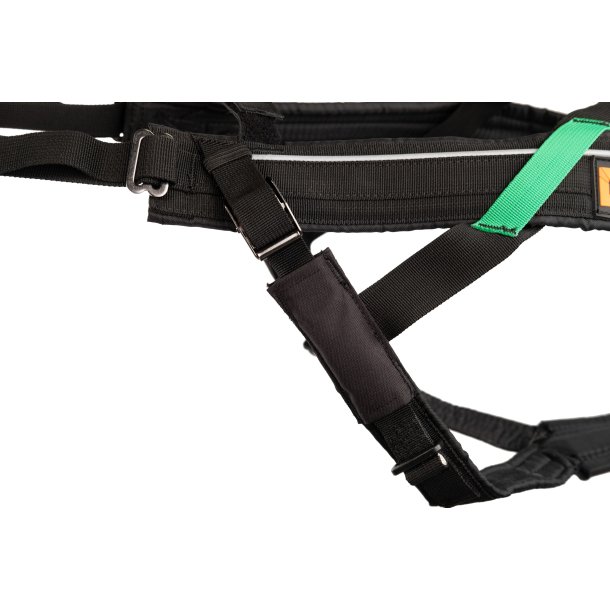 Non-Stop Dogwear Freemotion