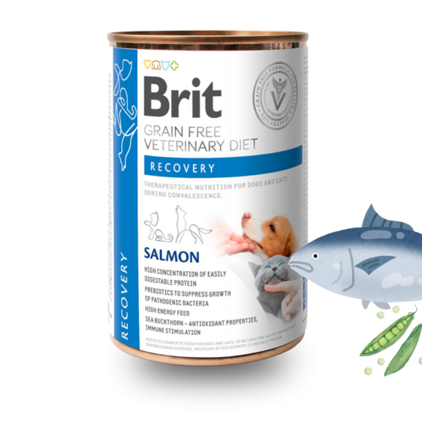 Brit - GF Vet Diet V�dfoder, Recovery - 400 g