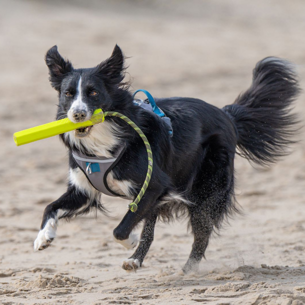 Petlando - Ruffies Throw Stick