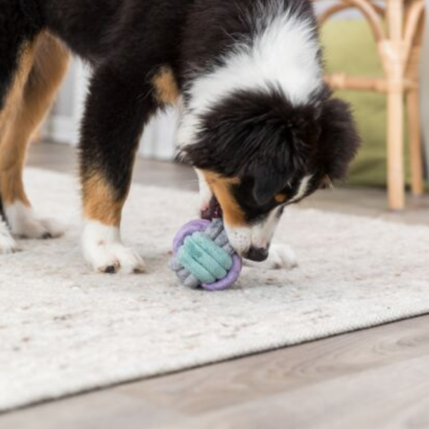 Hvalpe/junior knot ball, reb