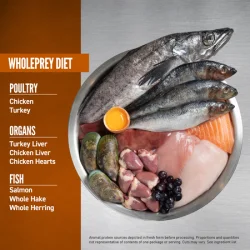 Orijen Dog - Puppy Small Breed