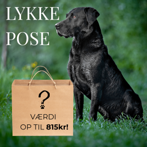 Luksus lykkepose - Stor hund