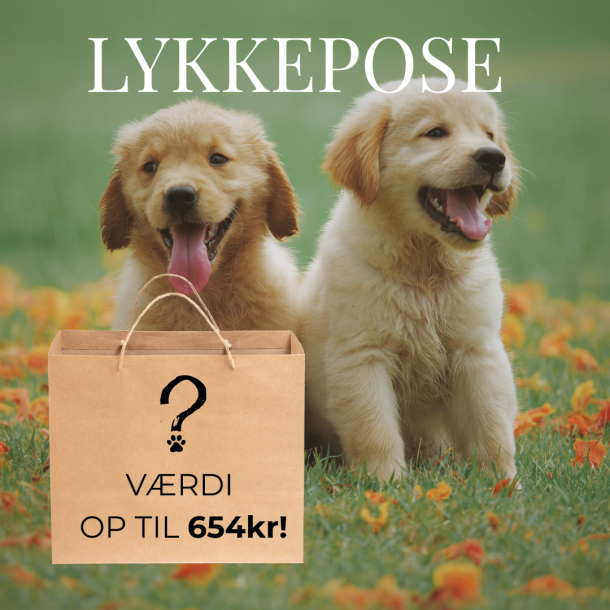 Luksus lykkepose - Hvalpe