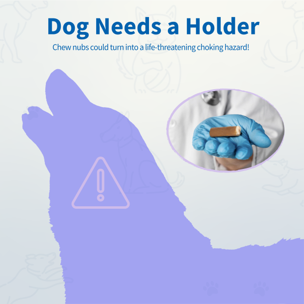 Chewise Snack-Holder - Lilla