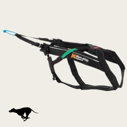 Non-Stop Dogwear Freemotion