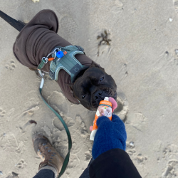 TubiDog Laksecreme - 75 gram