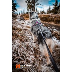 Non-Stop Dogwear Line Harness 5.0 - Lilla